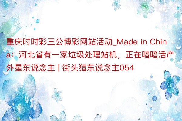 重庆时时彩三公博彩网站活动_Made in China：河北省有一家垃圾处理站机，正在暗暗活产外星东说念主 | 街头猎东说念主054